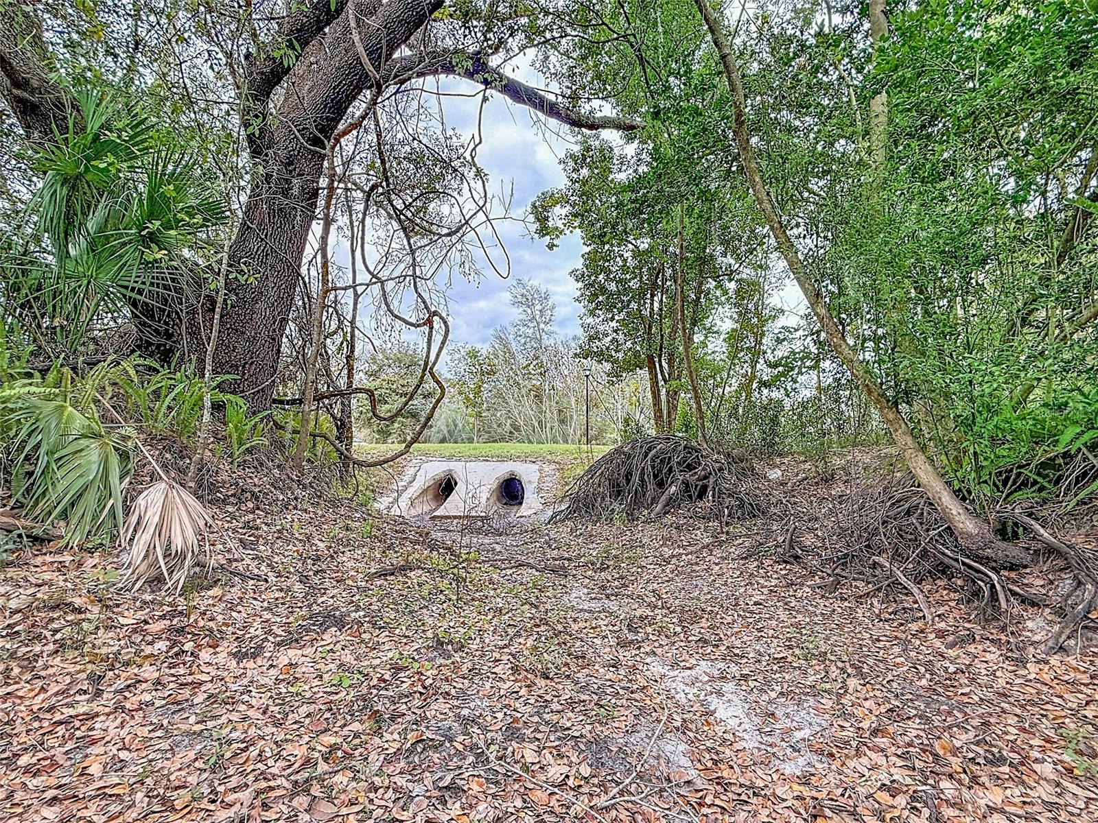 18469 Purple Creek Ln Property Photo 18