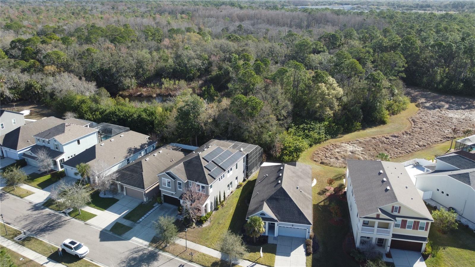 11403 Quiet Forest Dr Property Photo 47