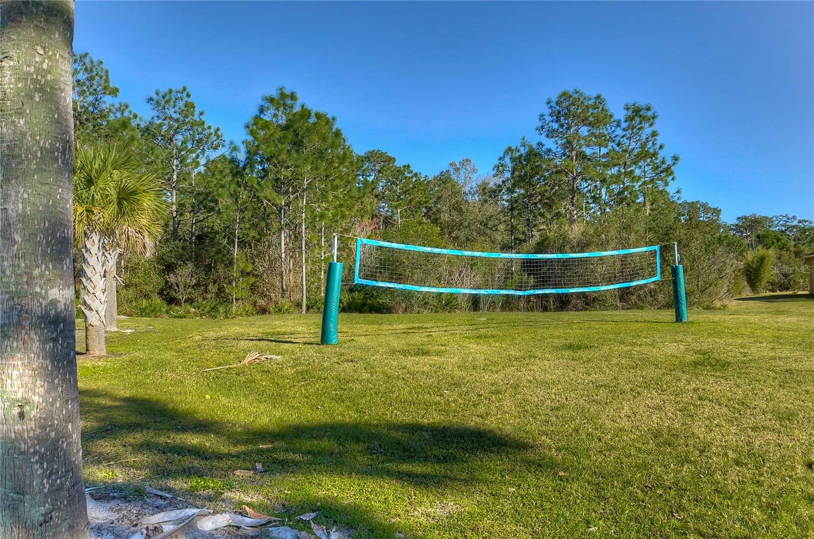 19914 Bluff Oak Blvd Property Photo 37
