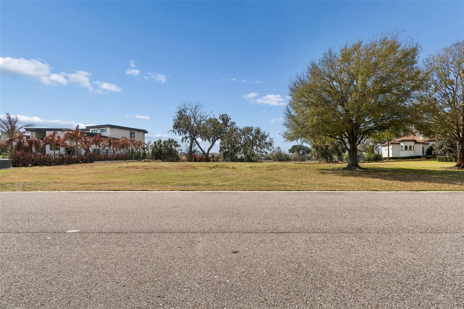 10718 Osprey Landing Way Property Photo 3