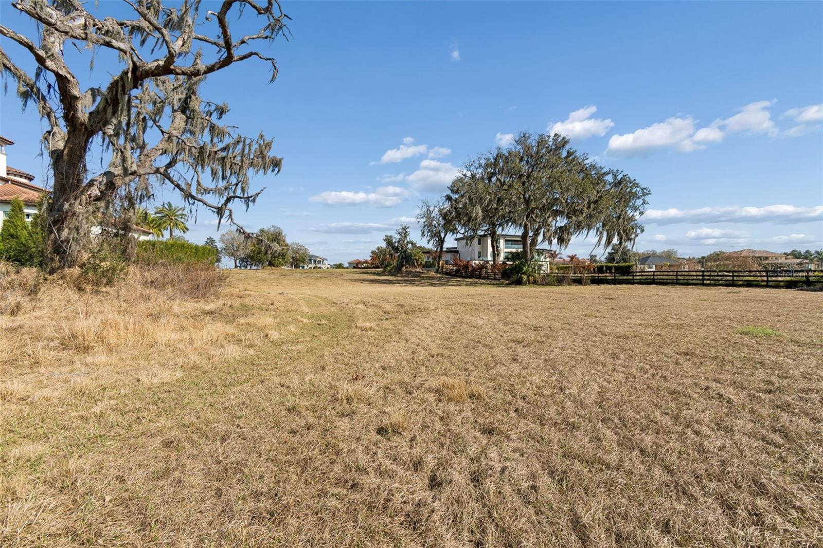 10718 Osprey Landing Way Property Photo 12