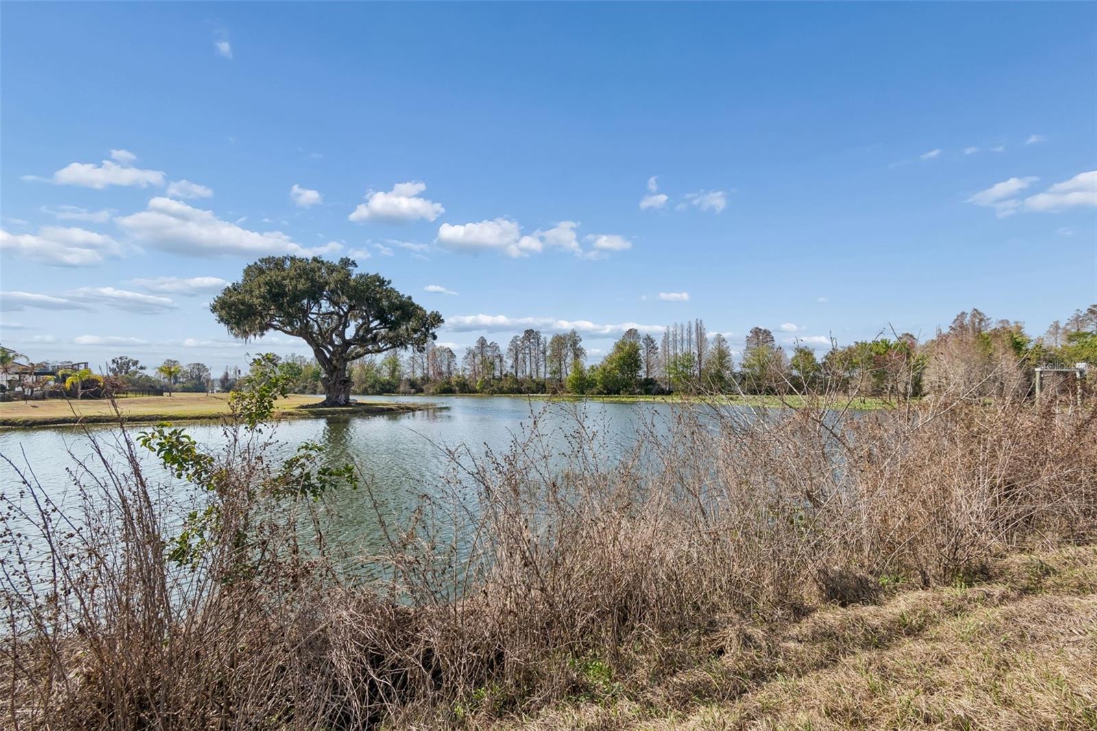 10718 Osprey Landing Way Property Photo 13
