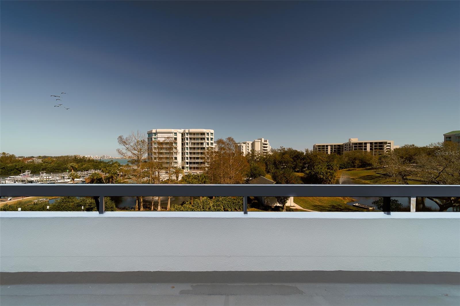 8 Belleview Blvd #308 Property Photo 53