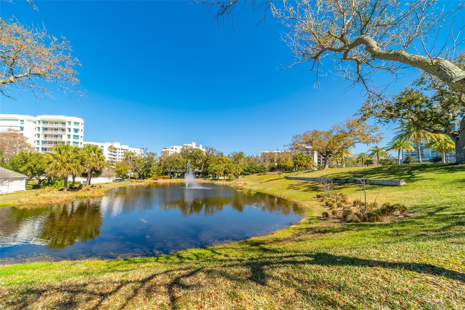 8 Belleview Blvd #308 Property Photo 84