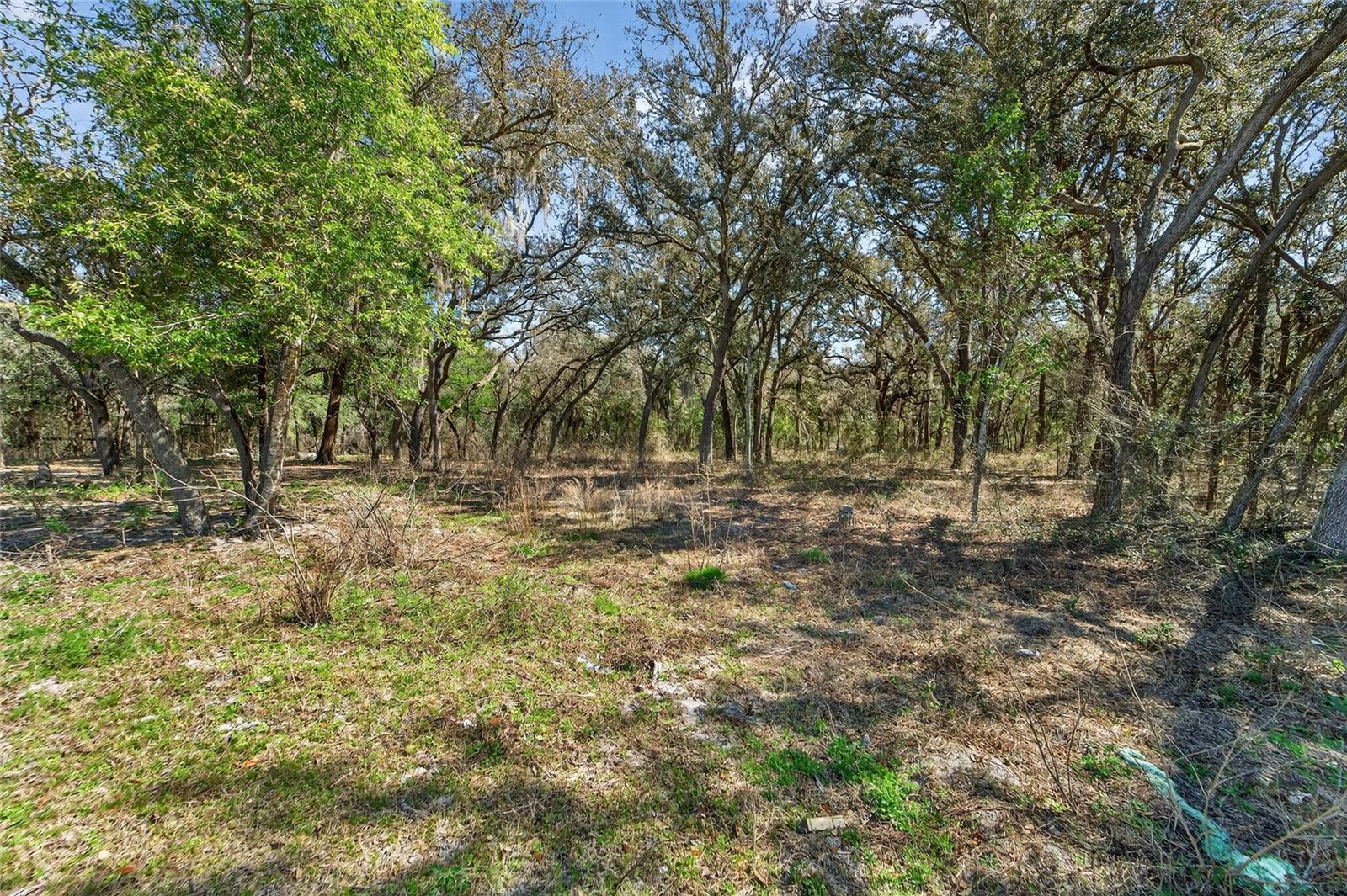 35238 Manuel St Property Photo 4