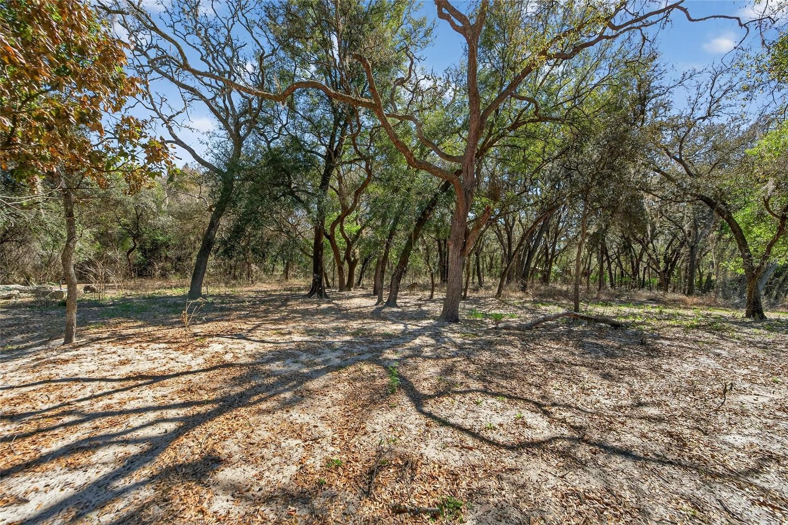 35238 Manuel St Property Photo 49
