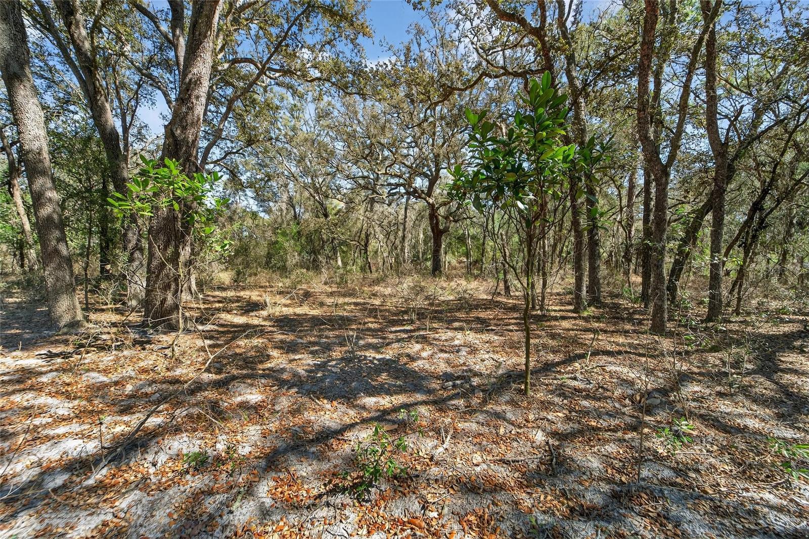 35238 Manuel St Property Photo 50