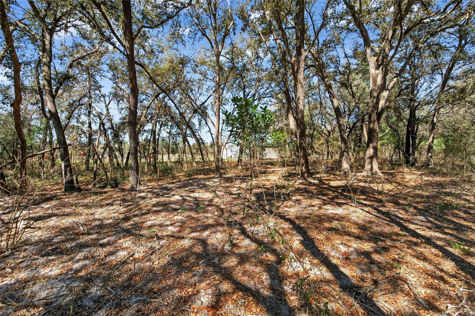 35238 Manuel St Property Photo 51