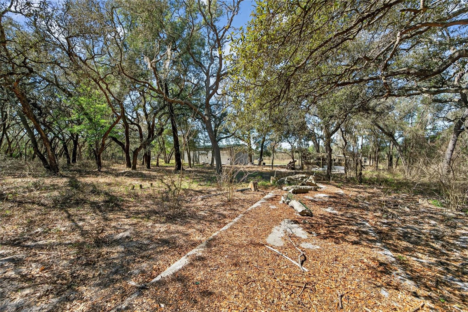 35238 Manuel St Property Photo 52
