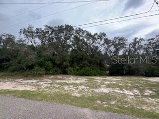 0 Clearwater Dr Property Photo 1