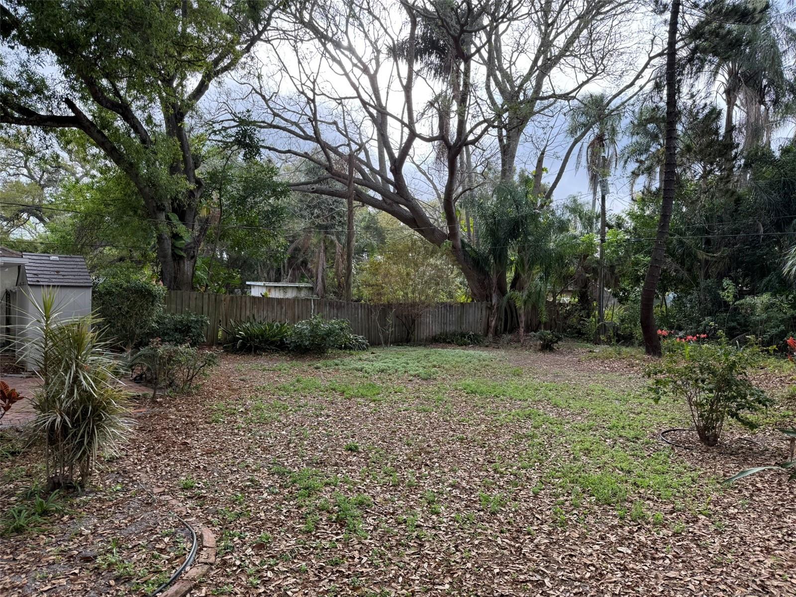1917 Gilbert St Property Photo 15