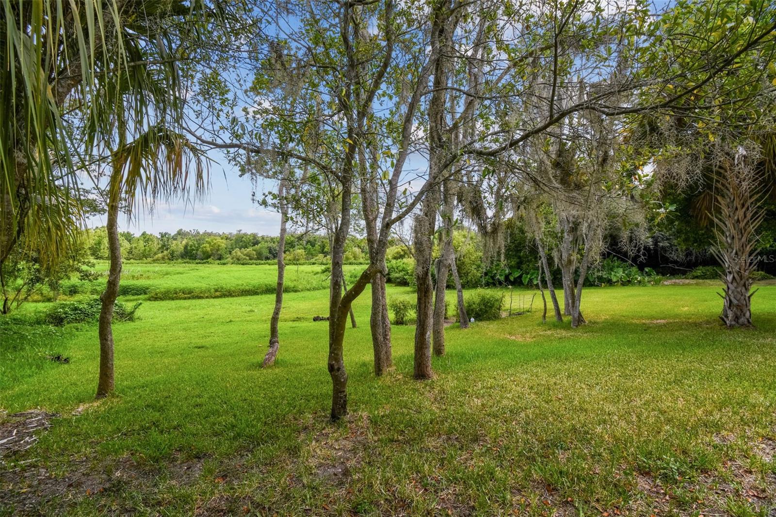 Dixie Ave Property Photo 7