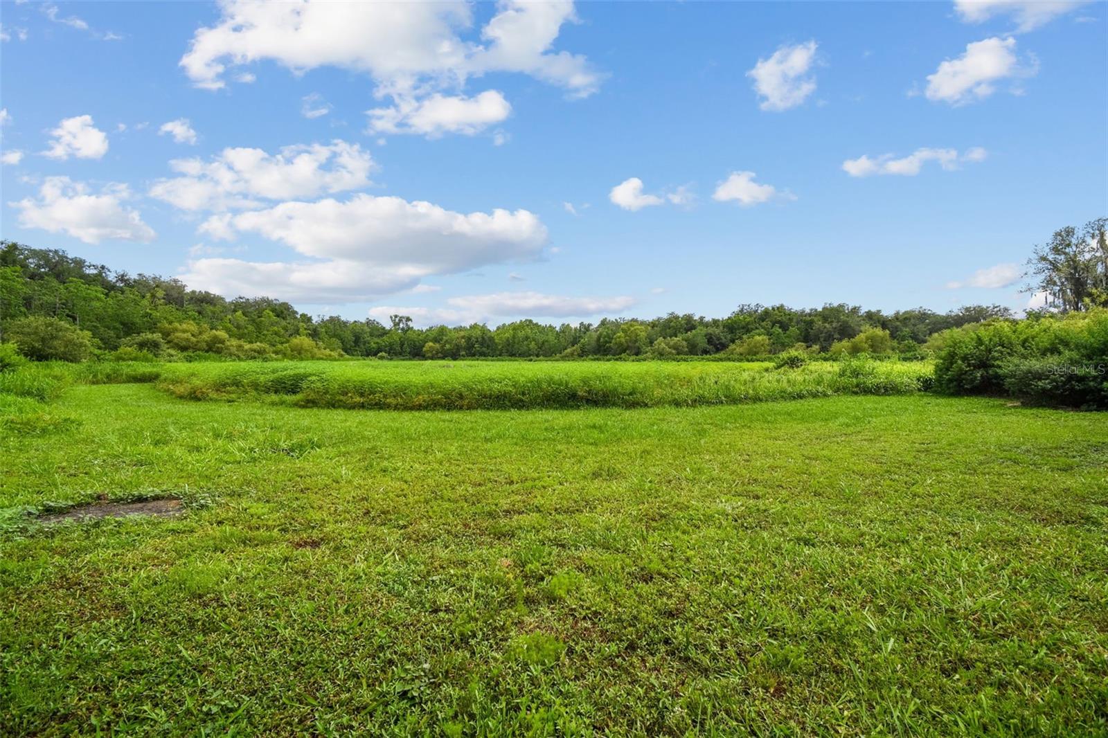 Dixie Ave Property Photo 8