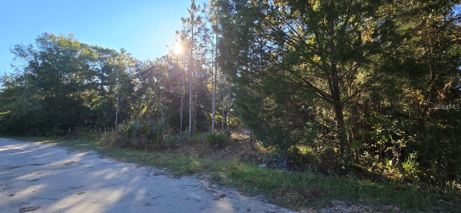 7784 W Twin Canal Ln Property Photo 1
