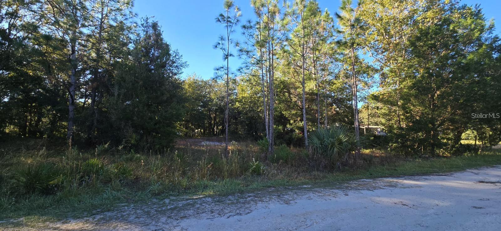 7784 W Twin Canal Ln Property Photo 2