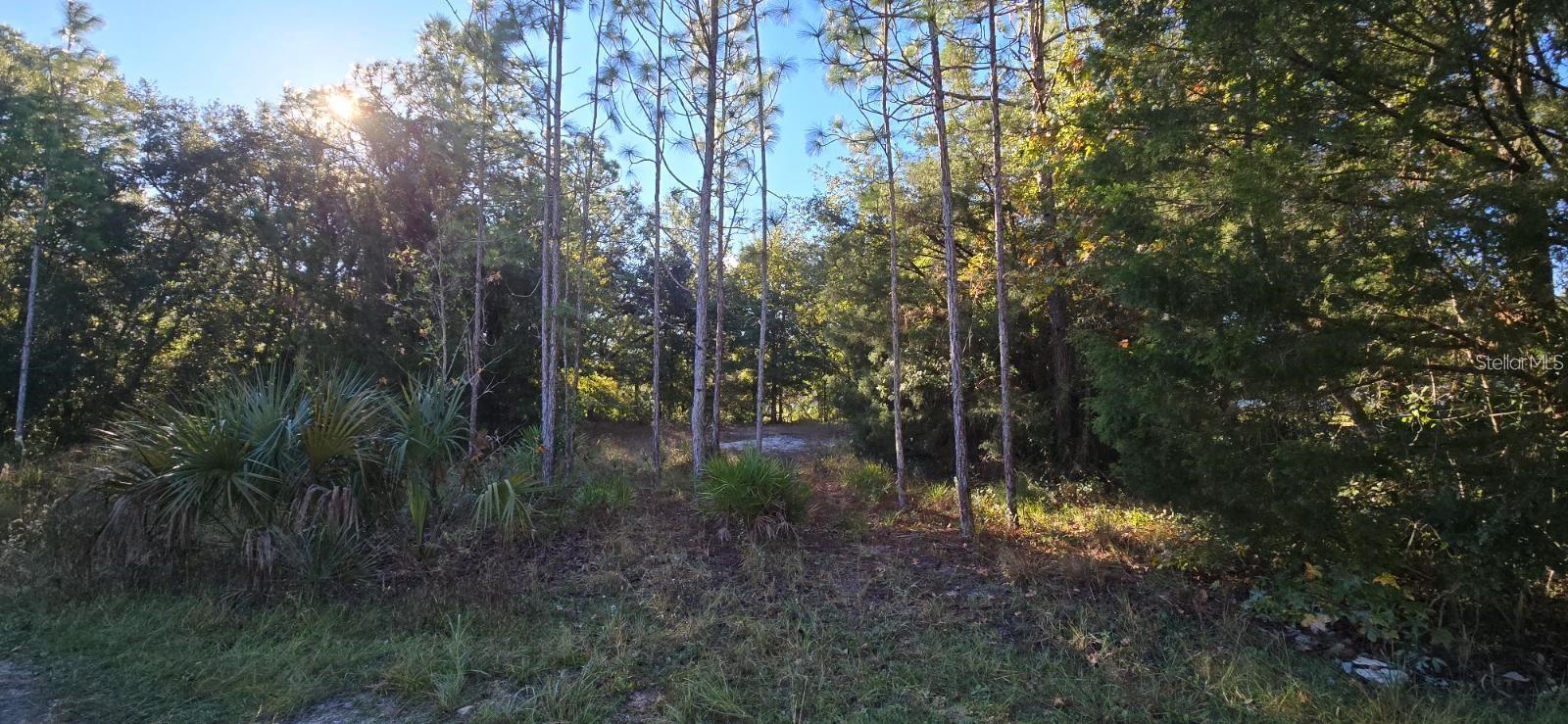7784 W Twin Canal Ln Property Photo 3
