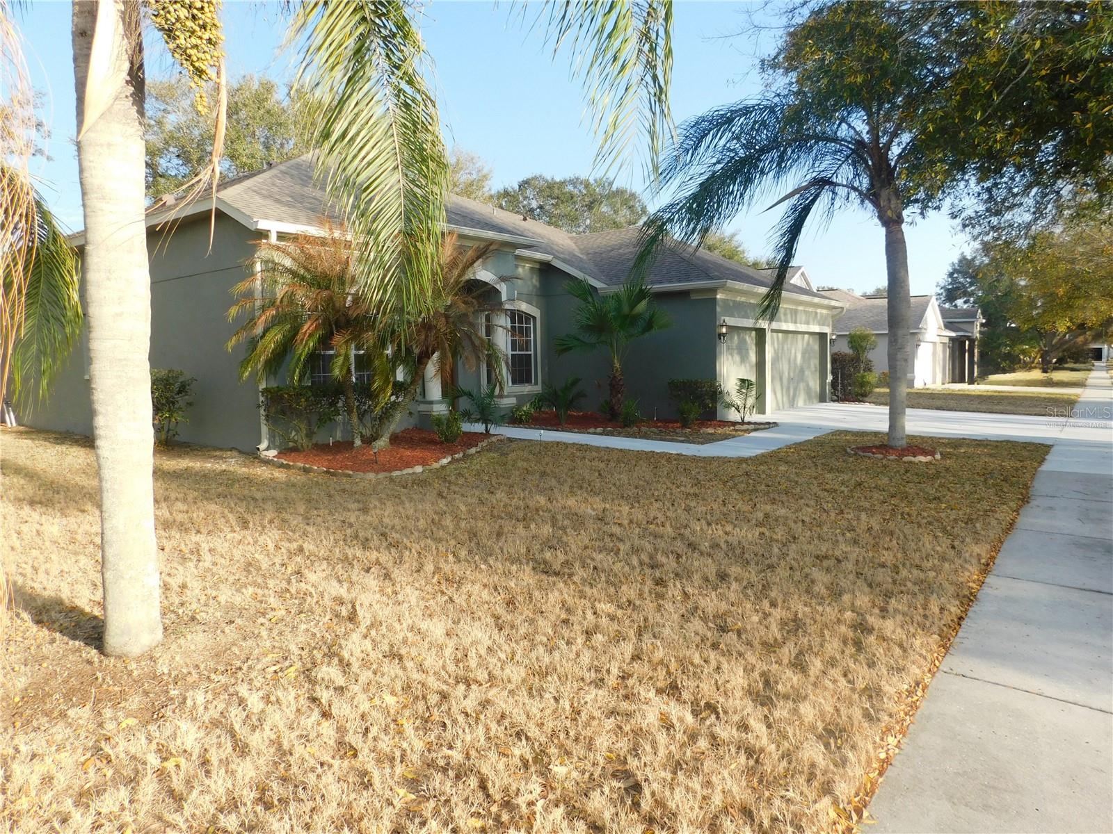 12902 Cattail Shore Ln Property Photo 2