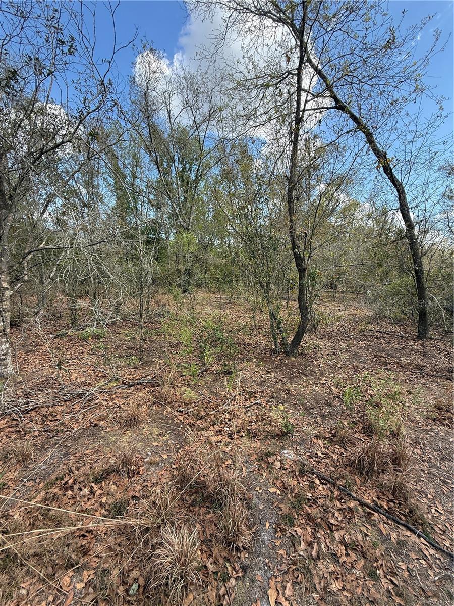 4021 Bruton Rd Property Photo 29
