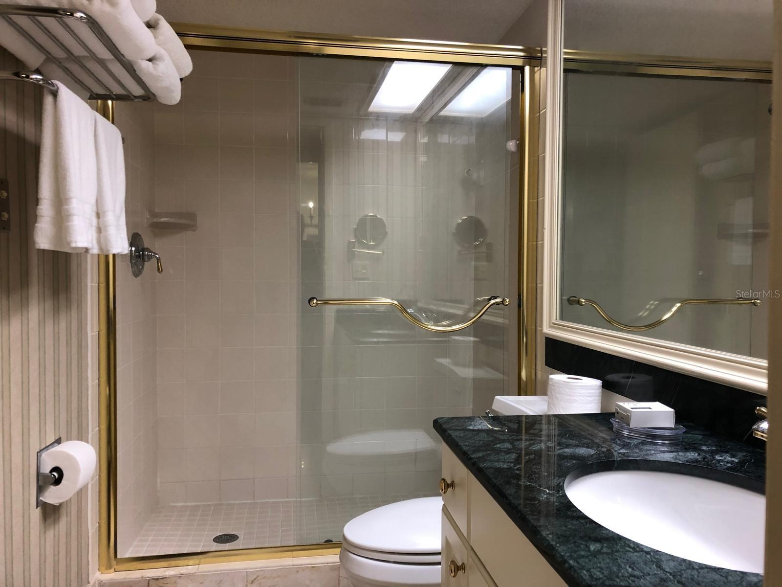 29129 Bay Hollow Dr #3203 Property Photo 8