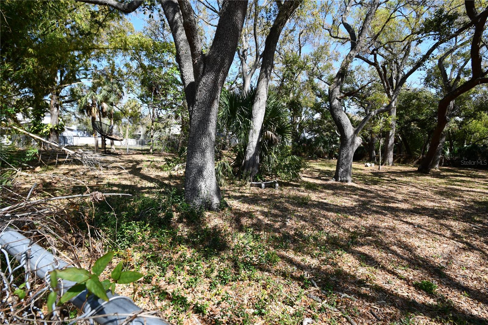 8020 Interbay Blvd Property Photo 28
