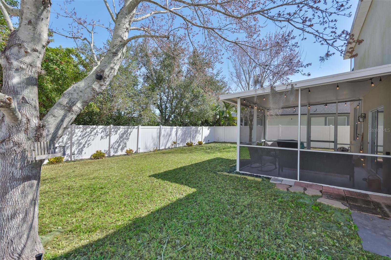 1609 Bonita Bluff Ct Property Photo 43