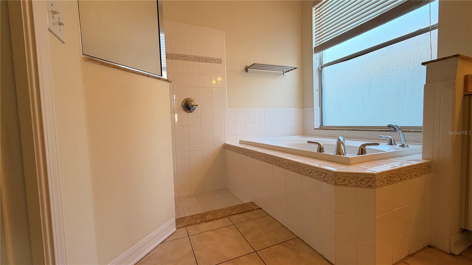 1643 Bonita Bluff Ct Property Photo 23