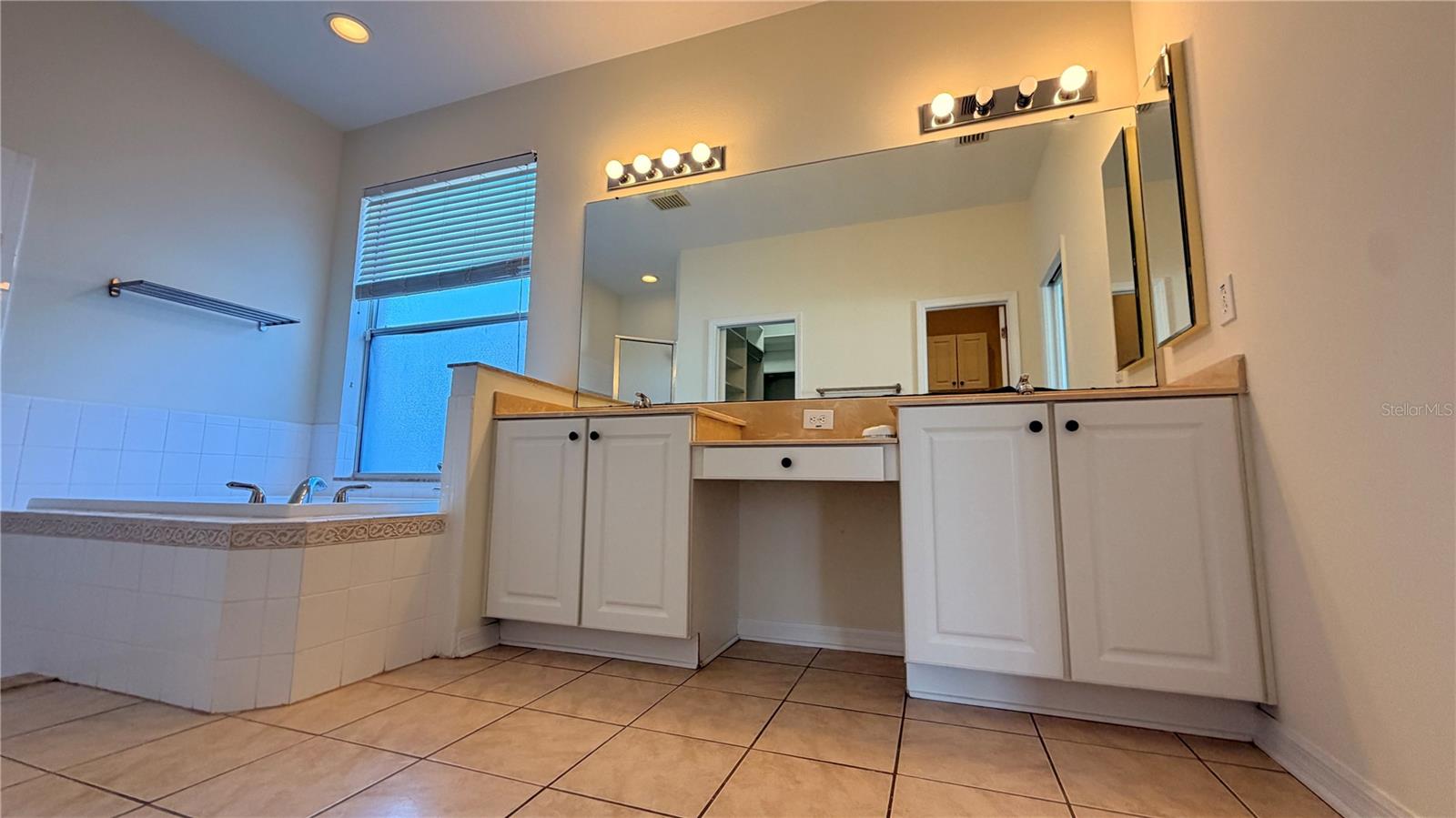 1643 Bonita Bluff Ct Property Photo 26