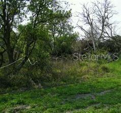 5224 Clarence Gordon Junior Rd Property Photo 2