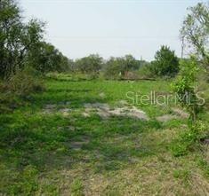 5224 Clarence Gordon Junior Rd Property Photo 3