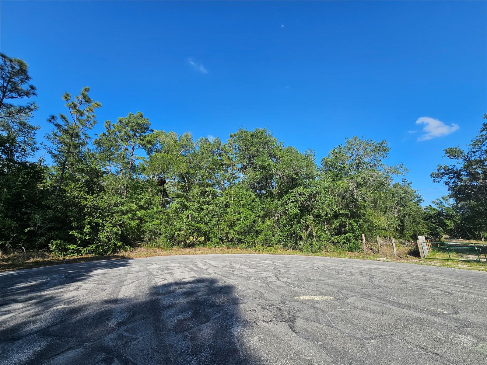 13431 Flagstaff Dr Property Photo 1