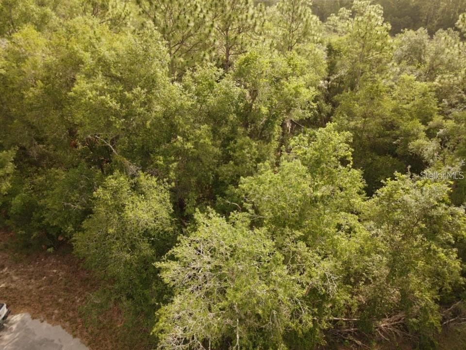 13431 Flagstaff Dr Property Photo 11