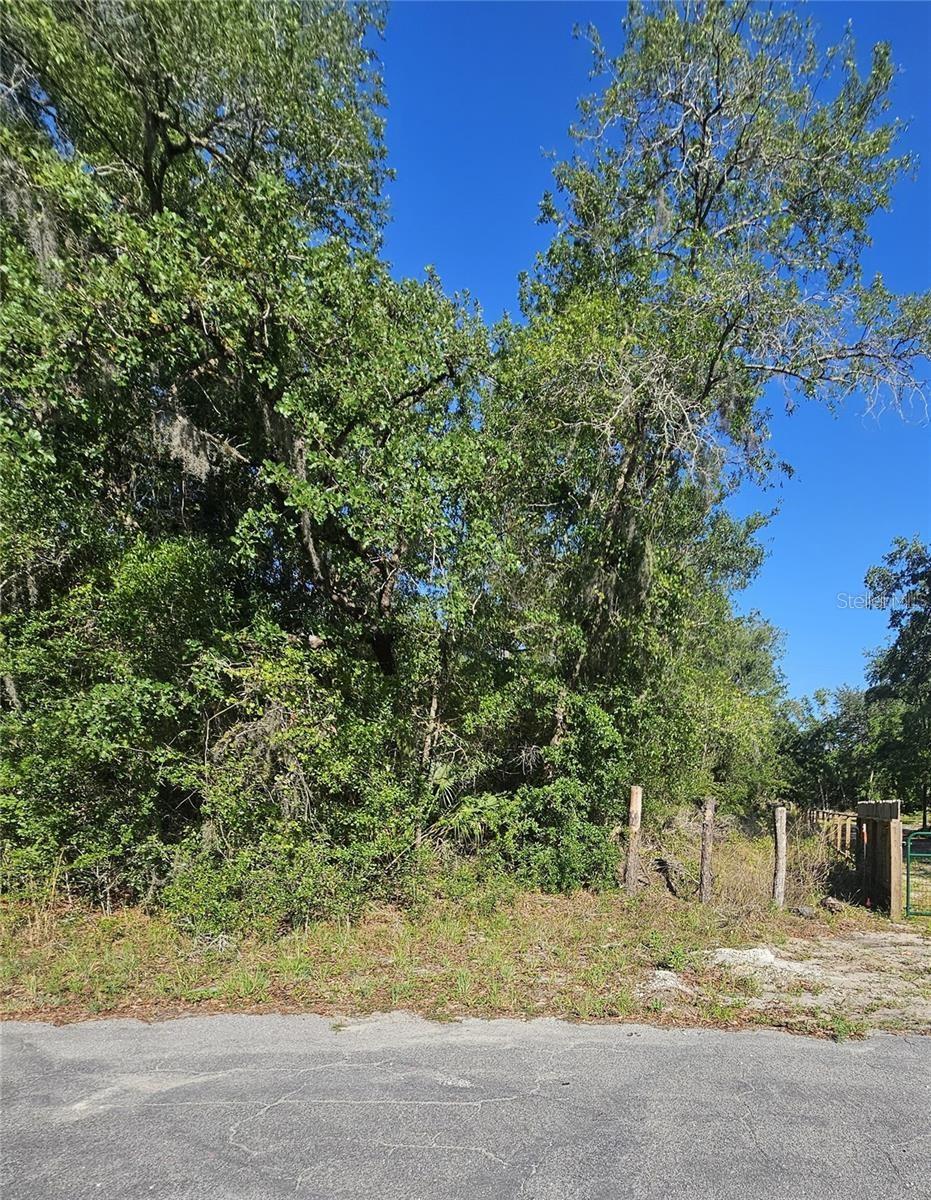 13431 Flagstaff Dr Property Photo 22