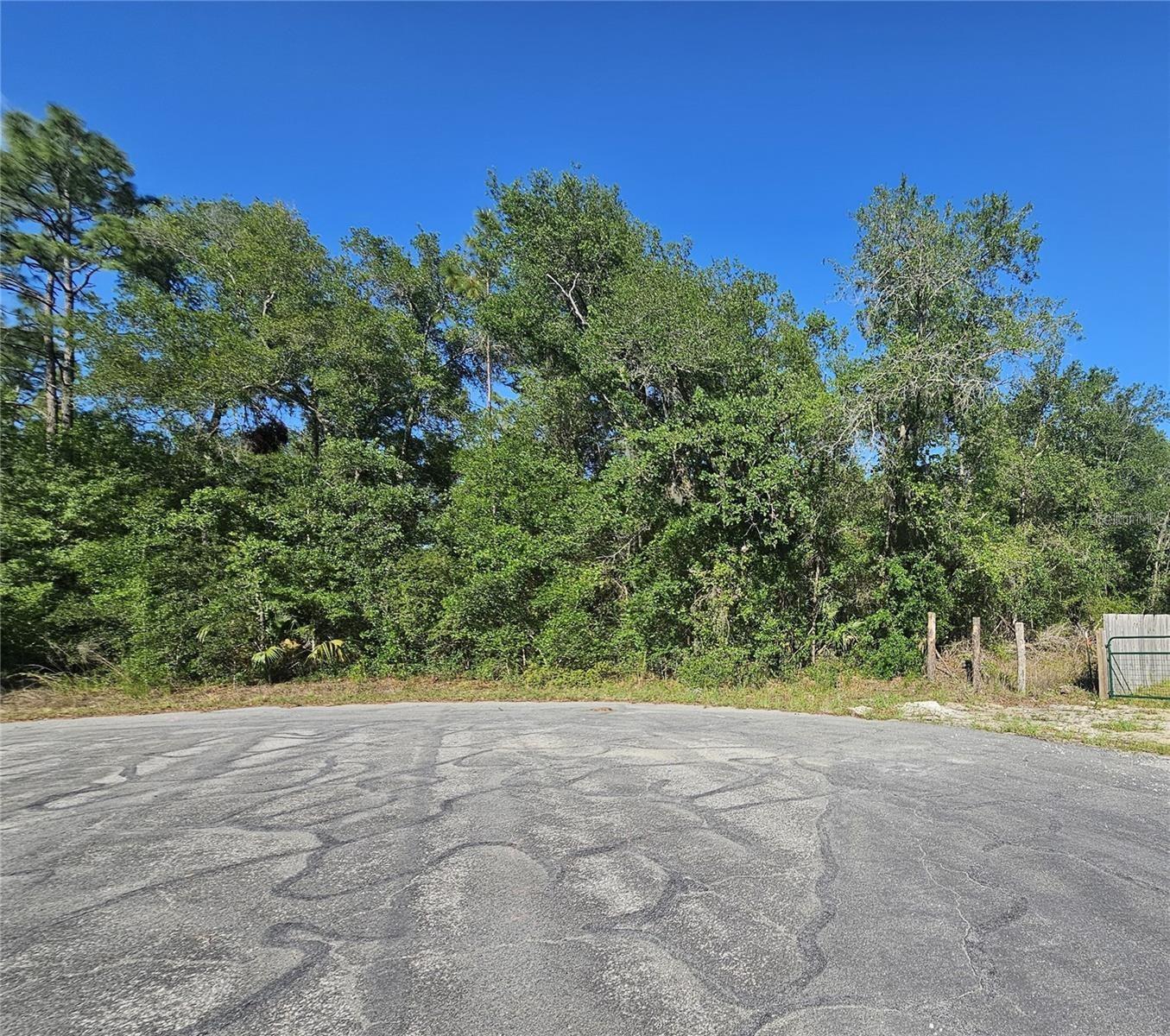 13431 Flagstaff Dr Property Photo 23