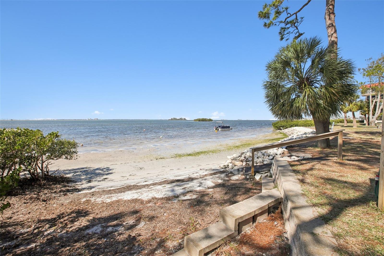 2700 Bayshore Blvd #1305 Property Photo 25