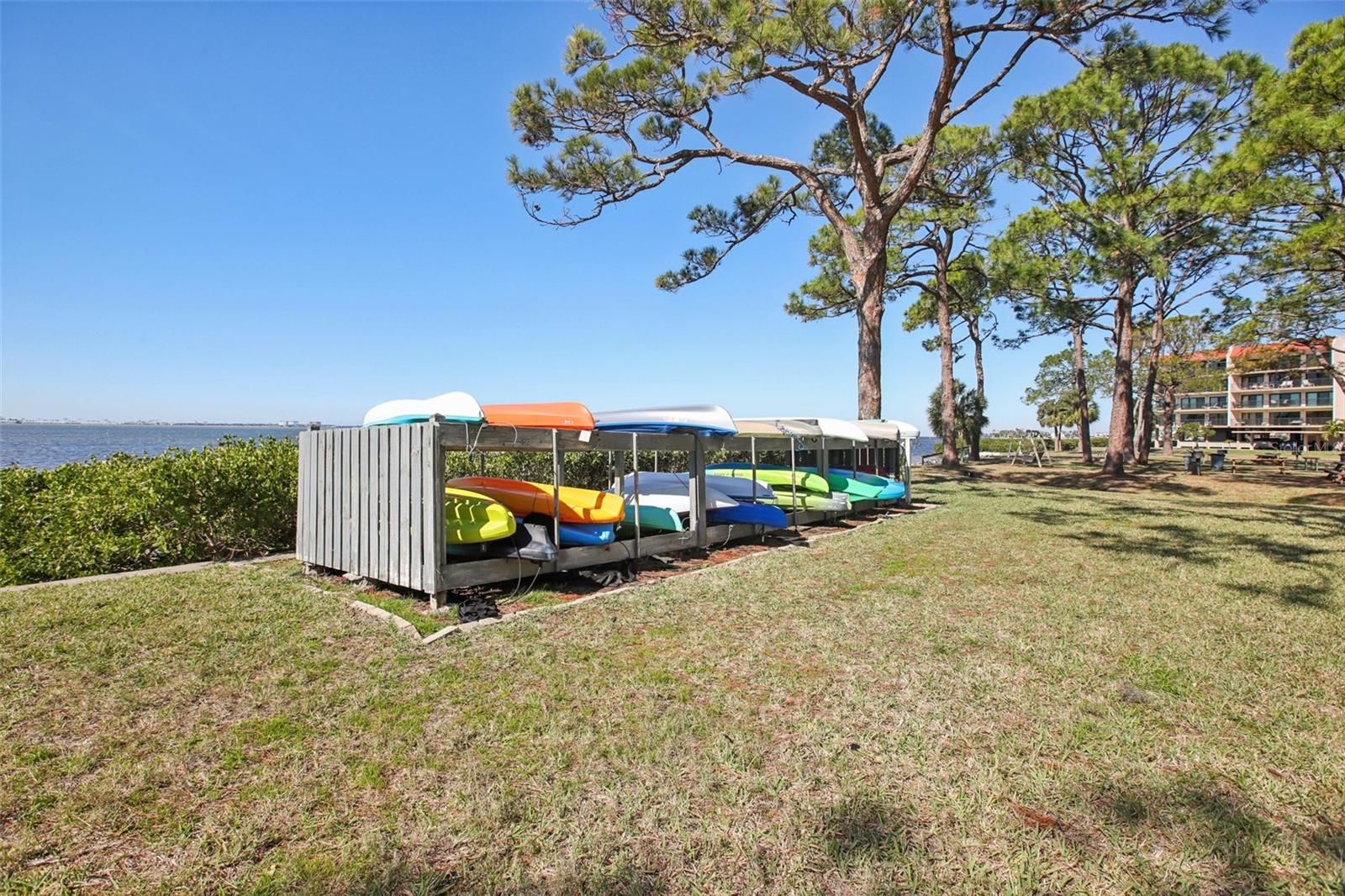 2700 Bayshore Blvd #1305 Property Photo 28