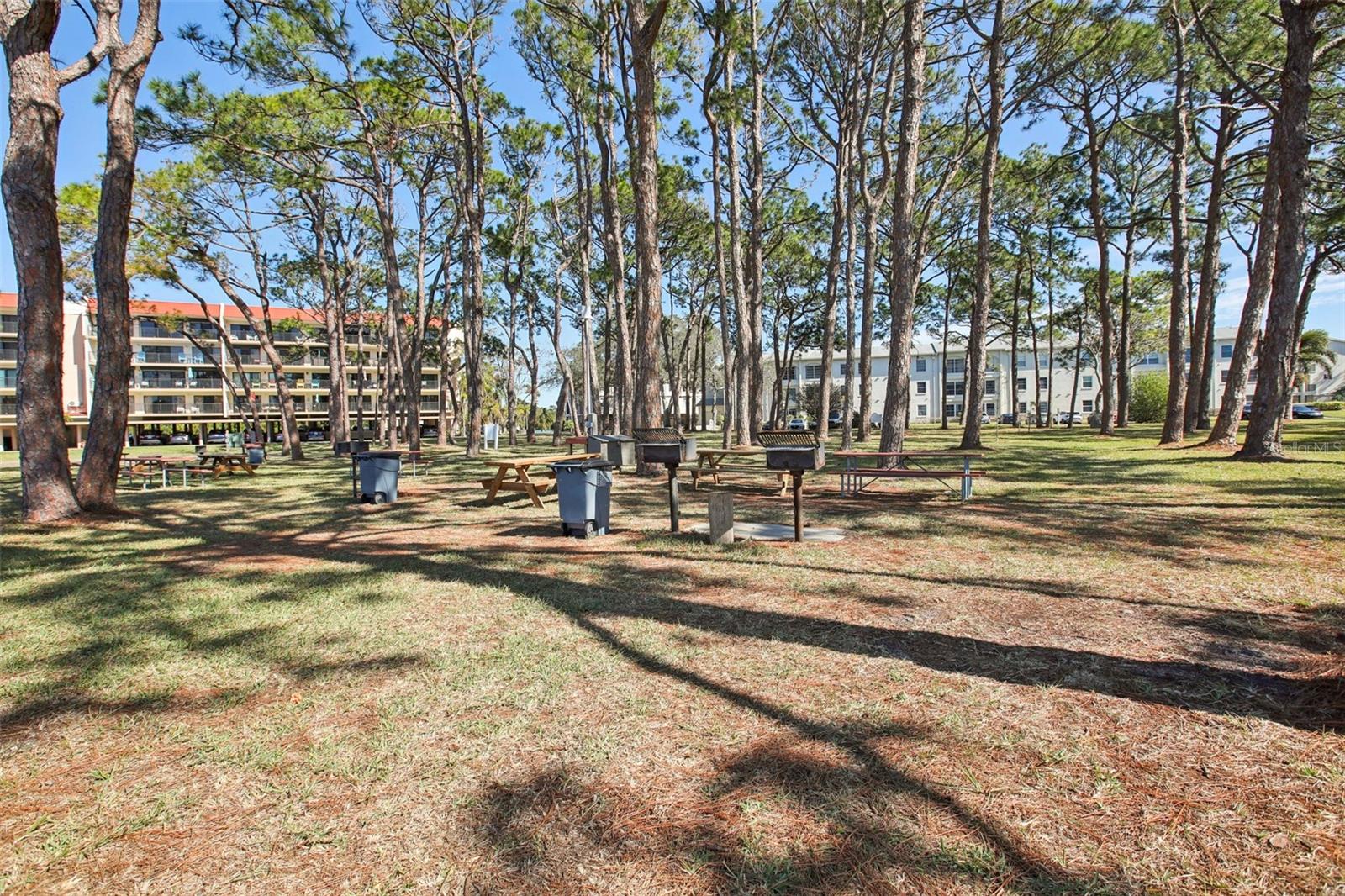 2700 Bayshore Blvd #1305 Property Photo 35
