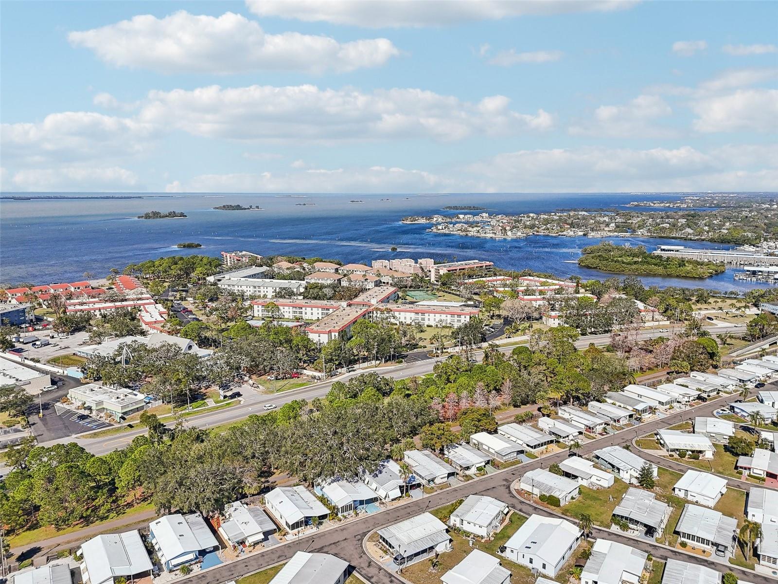 2700 Bayshore Blvd #1305 Property Photo 45
