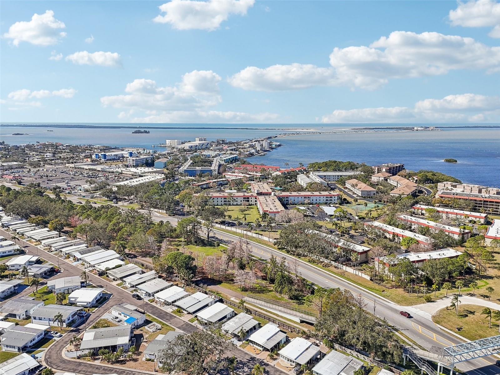 2700 Bayshore Blvd #1305 Property Photo 46