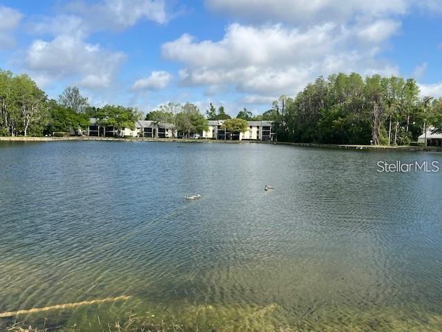 3232 Lake Pine Way E #c1 Property Photo 27