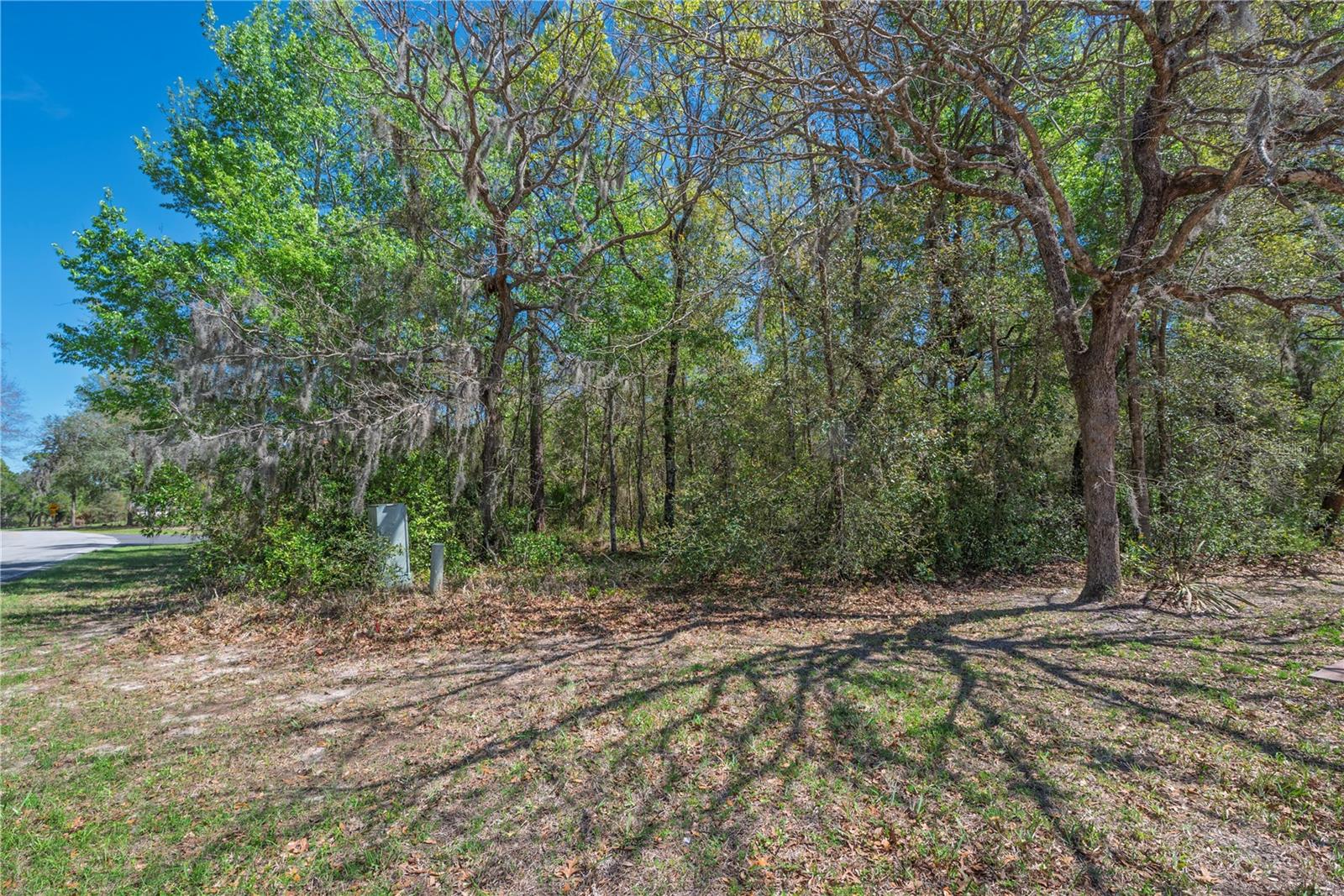 1 Pine St Property Photo 10