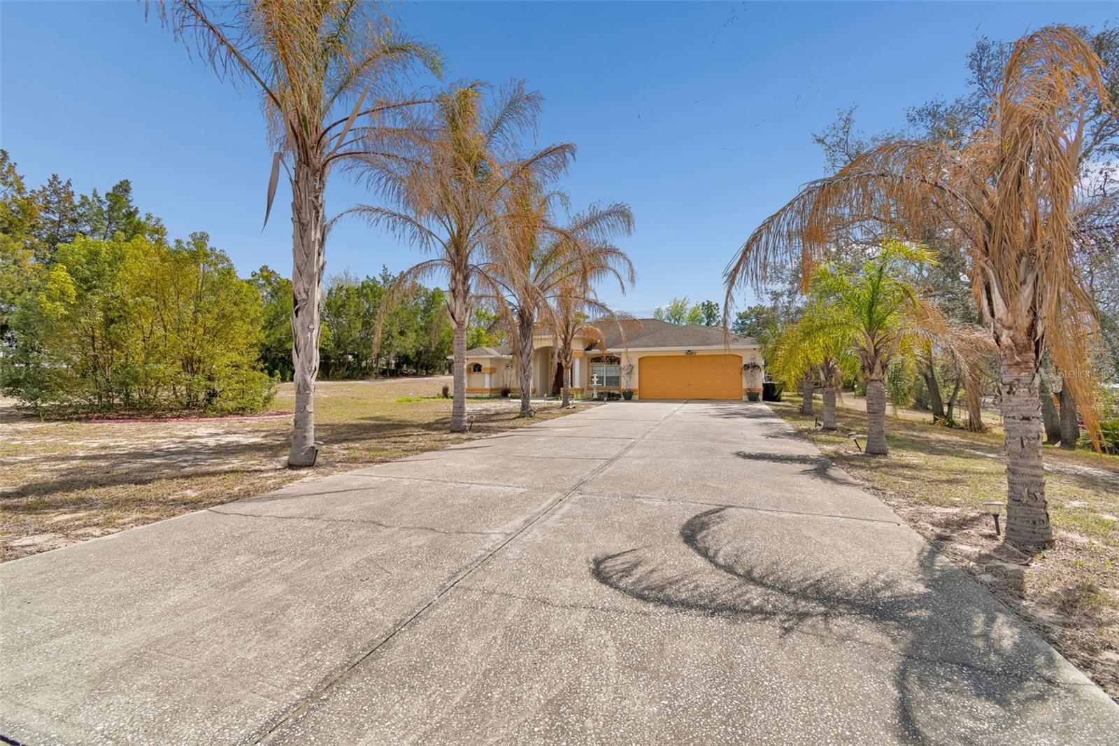 16402 Fringe Tree Dr Property Photo 95