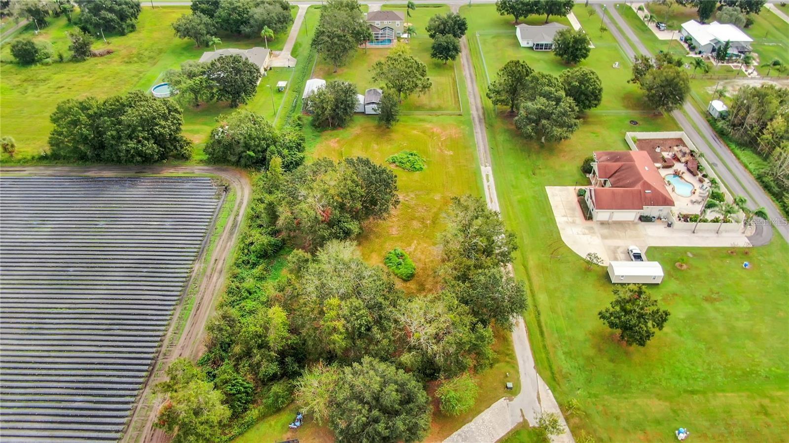 13906 Sweet Blossom Ct Property Photo 3