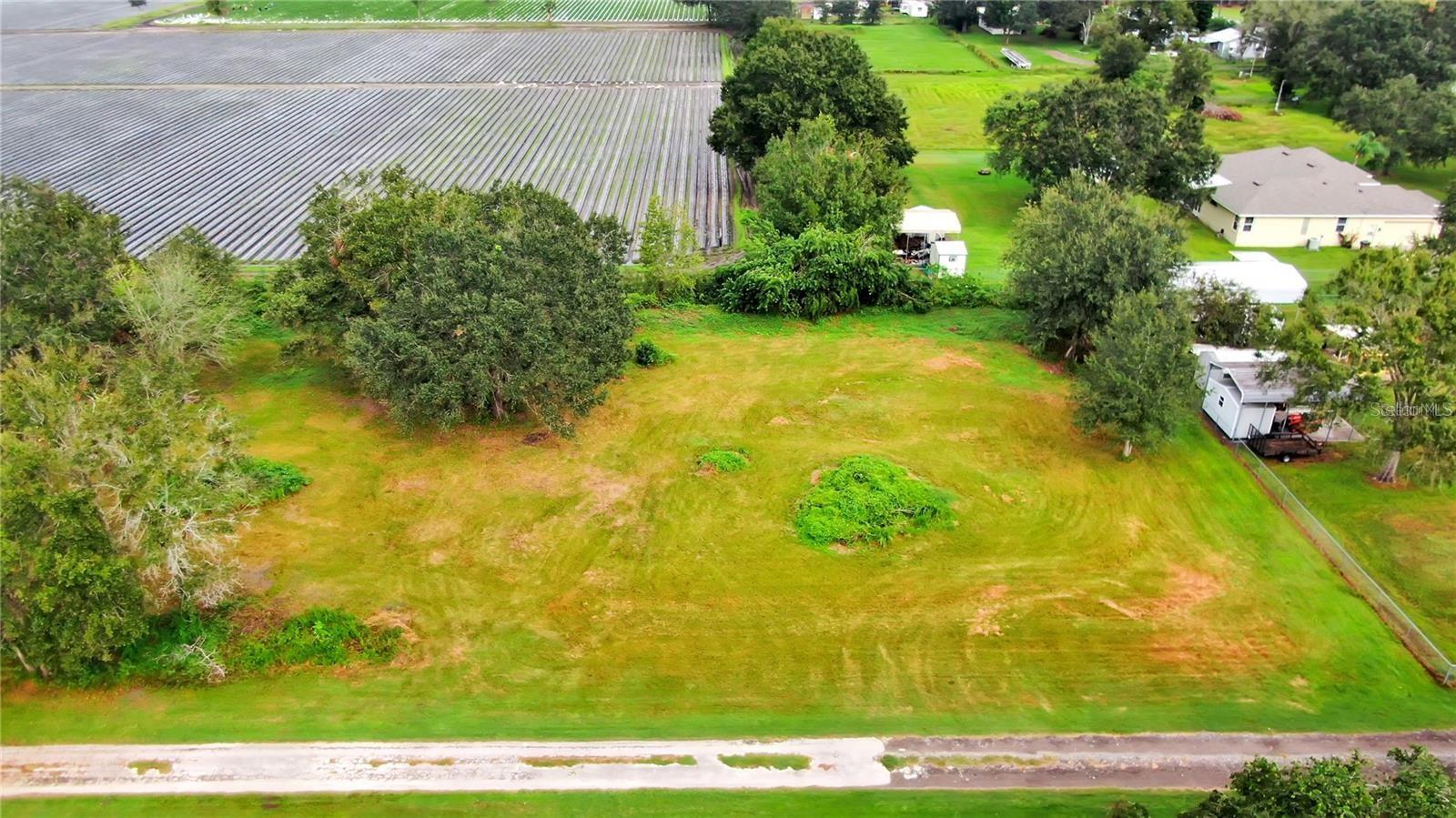 13906 Sweet Blossom Ct Property Photo 4