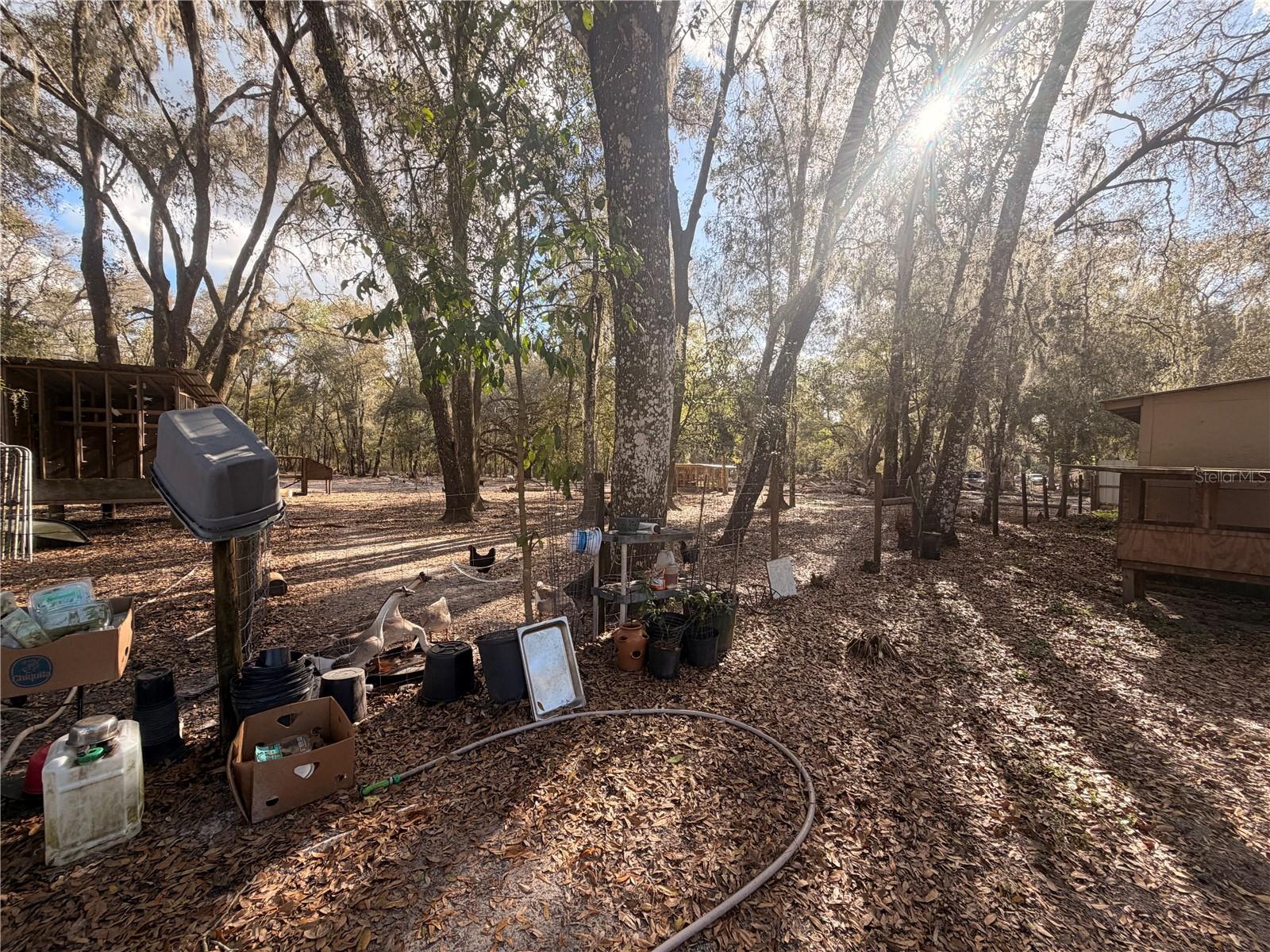 25408 Oneal Rd Property Photo 45
