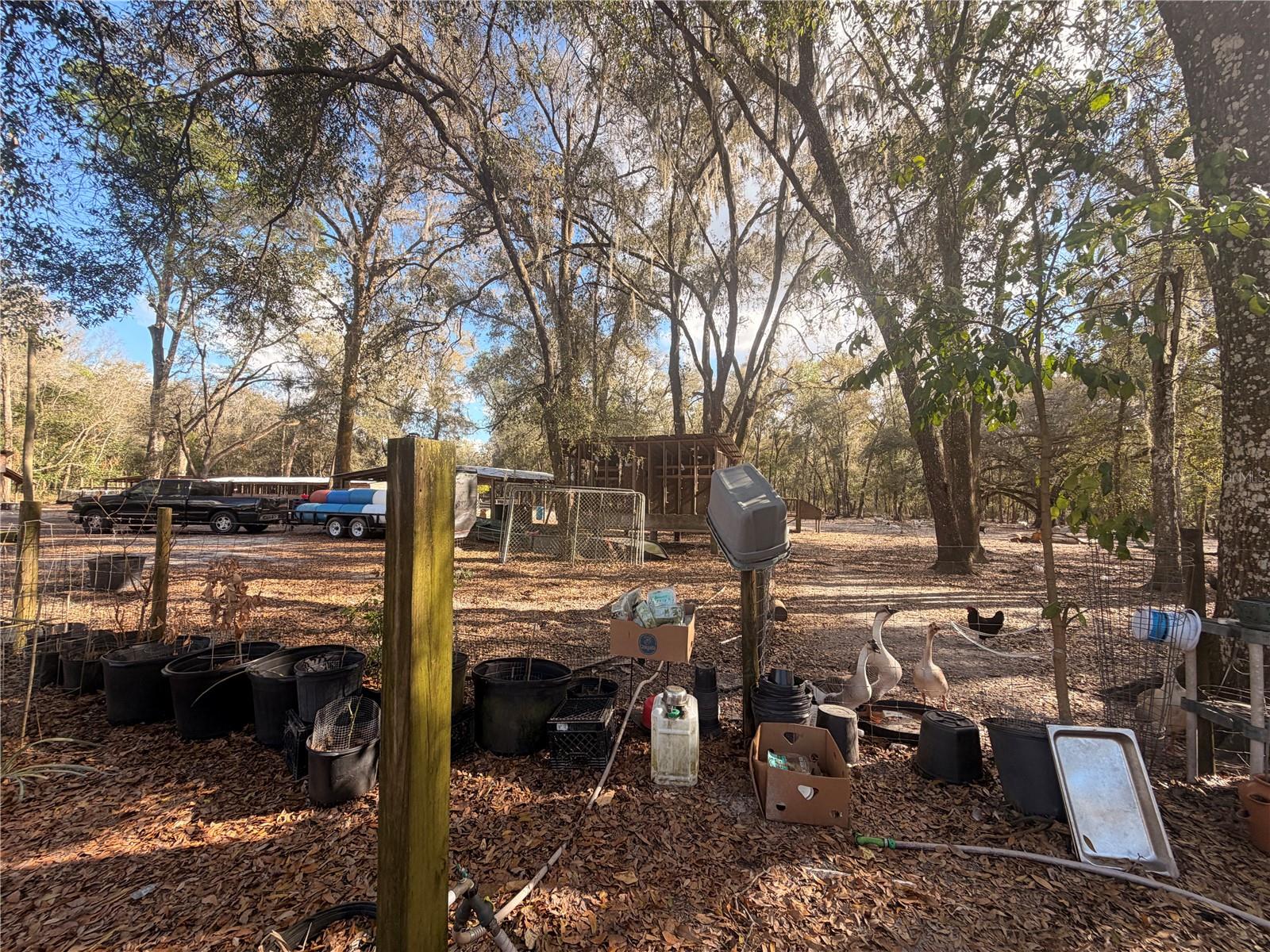 25408 Oneal Rd Property Photo 46