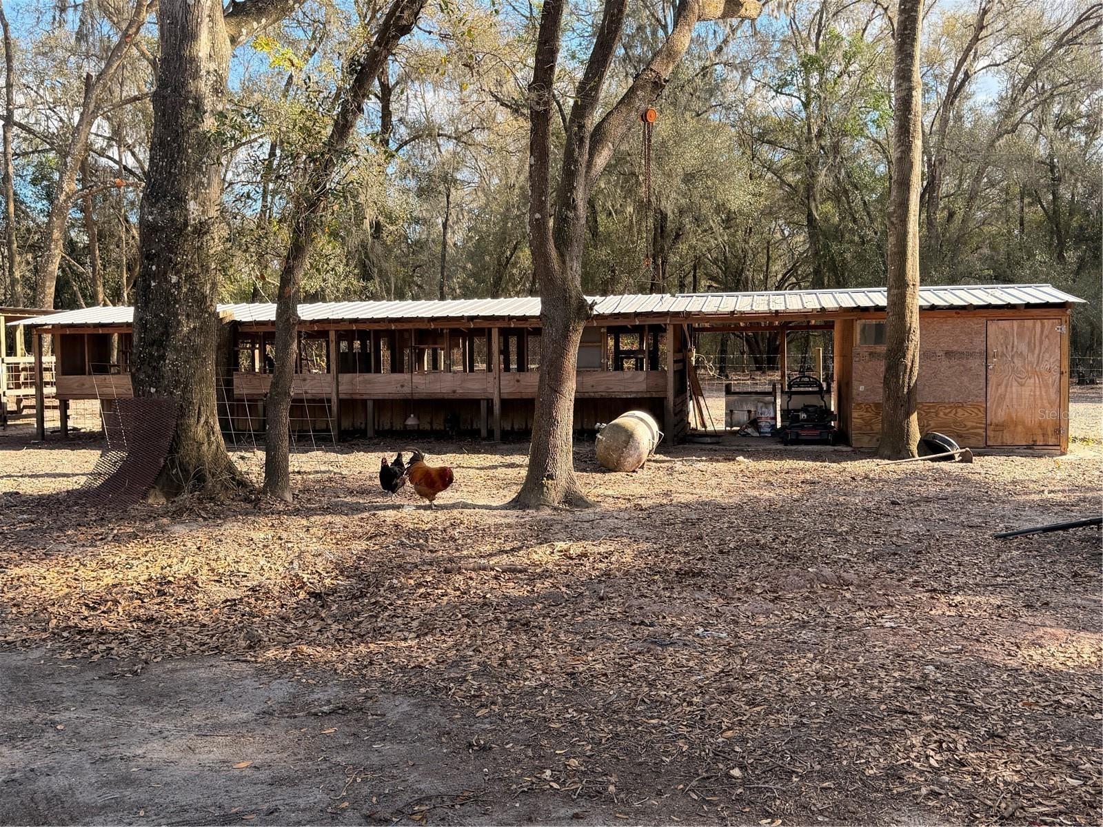 25408 Oneal Rd Property Photo 50