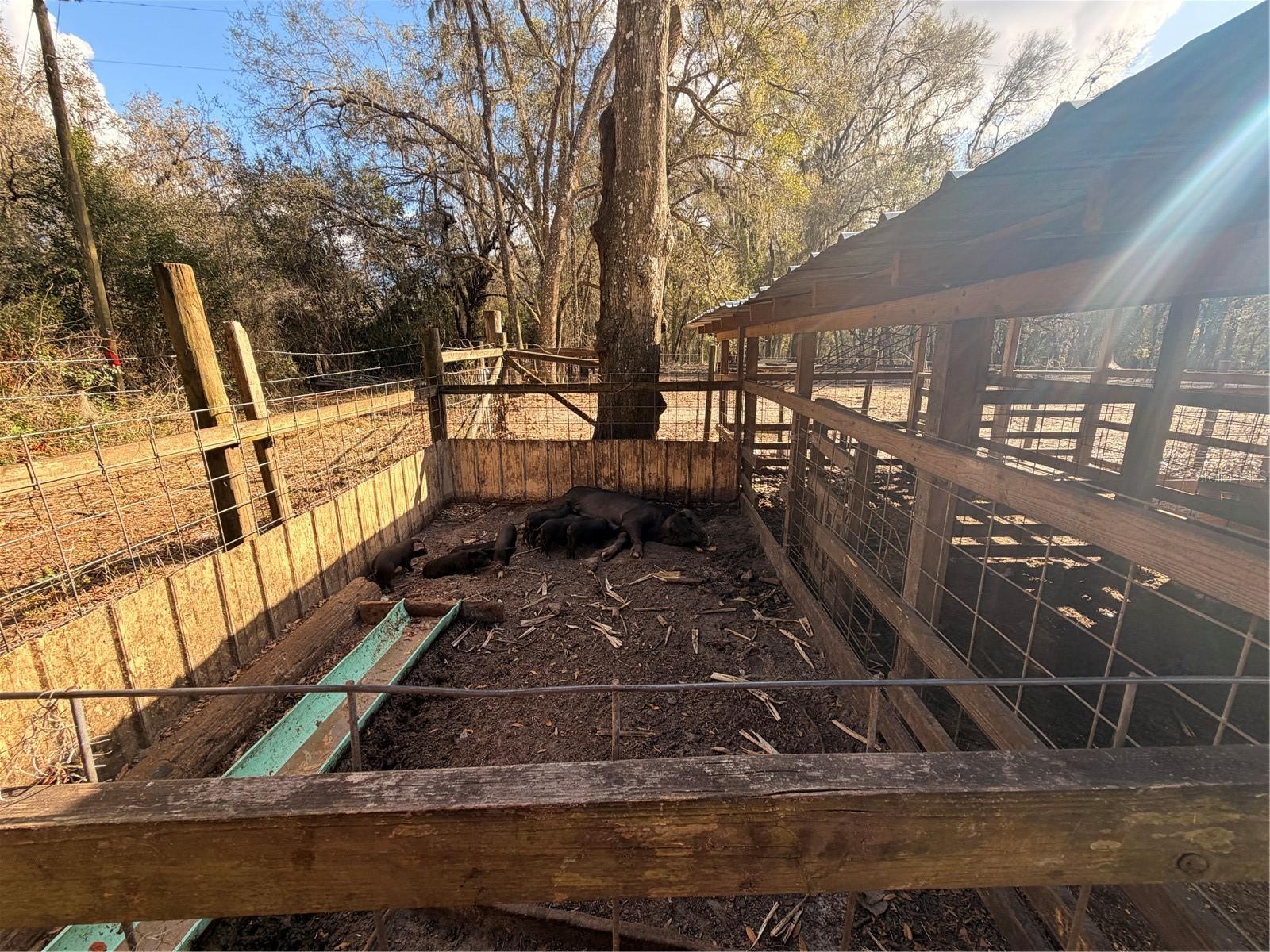 25408 Oneal Rd Property Photo 54