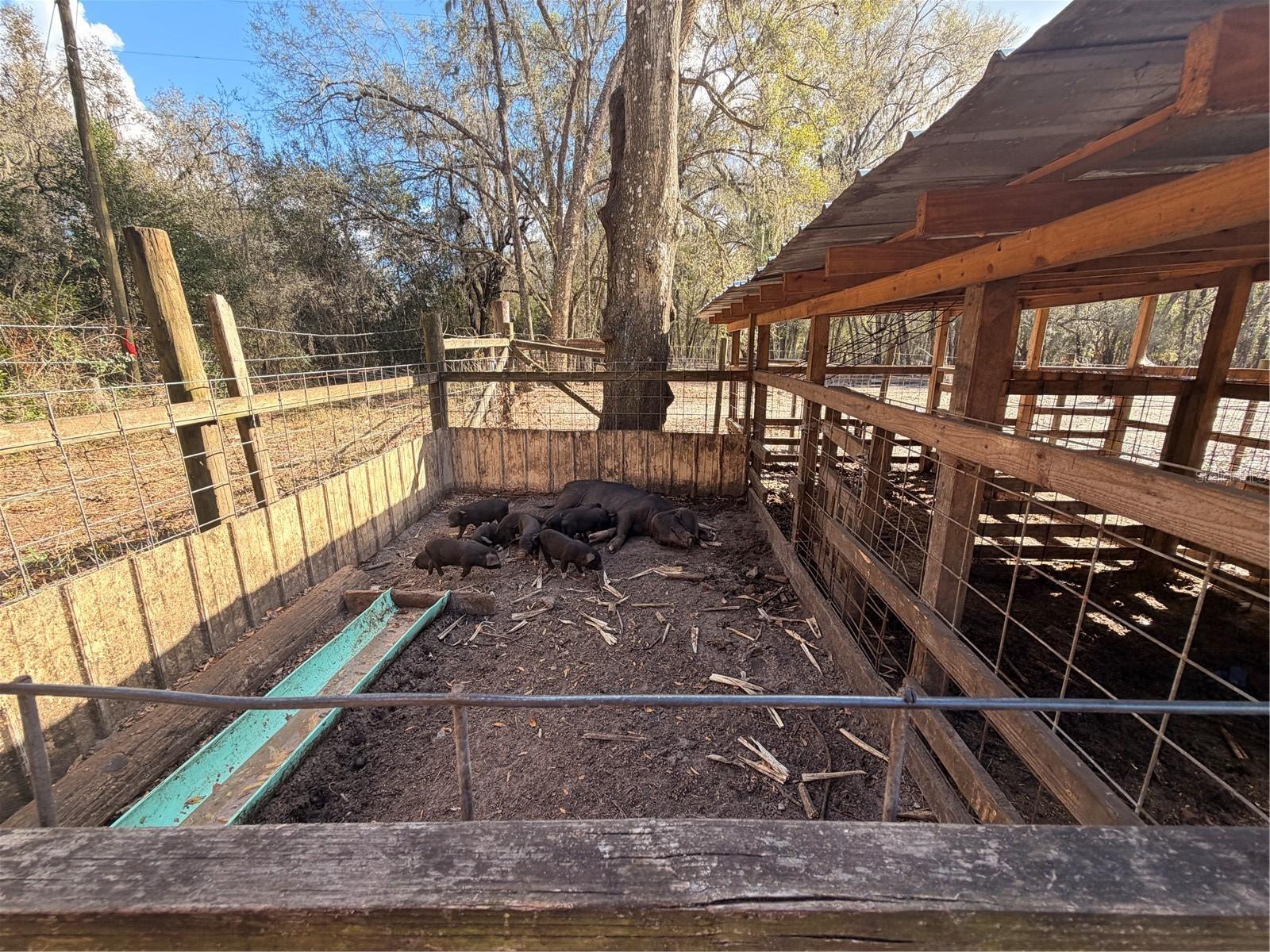 25408 Oneal Rd Property Photo 55
