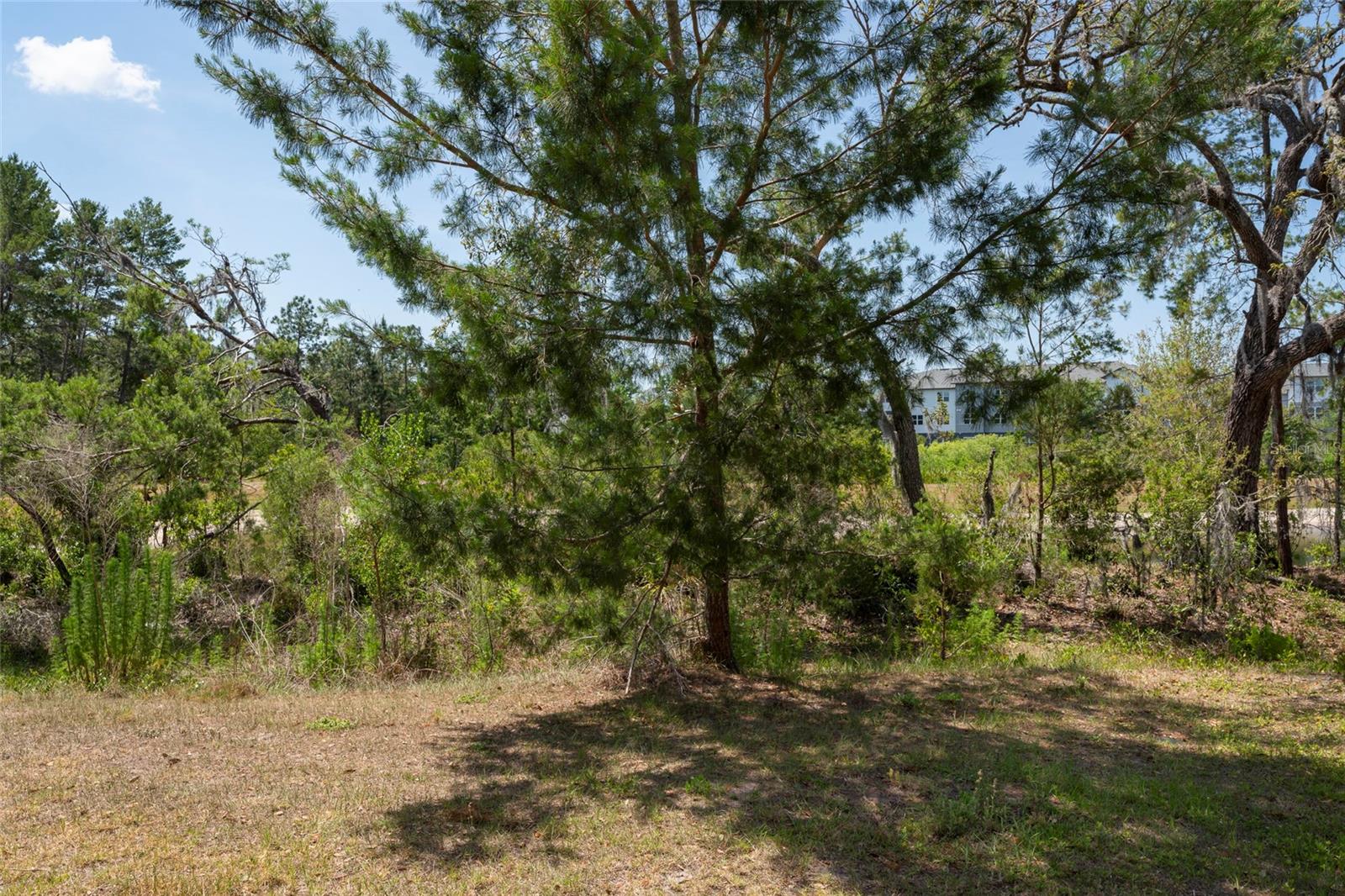 11704 Castine St Property Photo 6