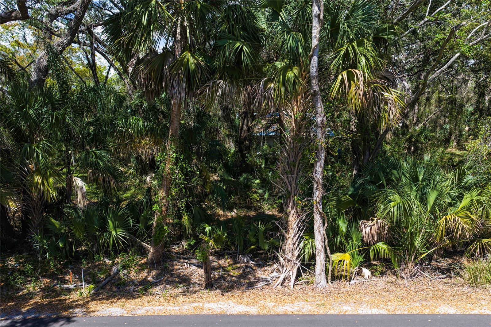 8004 Bay Dr Property Photo 14